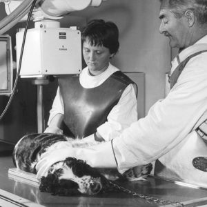 Astrid von Luttitz - Werbeaufnahmen für eine Tierklinik