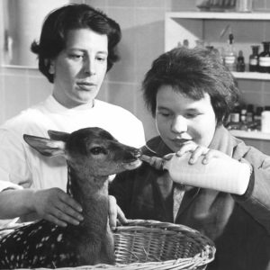Astrid von Luttitz - Werbeaufnahmen für eine Tierklinik