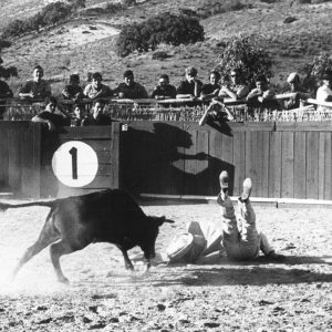 Astrid von Luttitz - Spanien - Stierkampf in Marabella