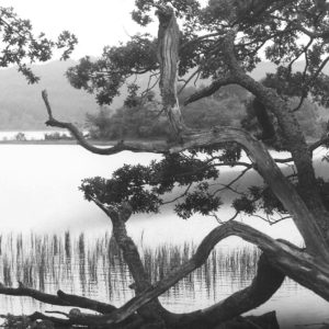 Astrid von Luttitz - Frankreich - Normandie