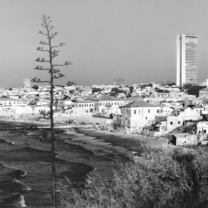 Astrid von Luttitz - Israel