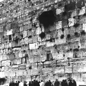 Astrid von Luttitz - Israel
