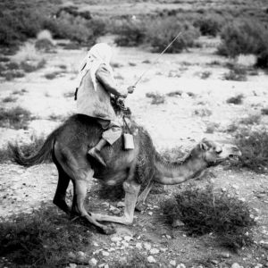 Astrid von Luttitz - Israel