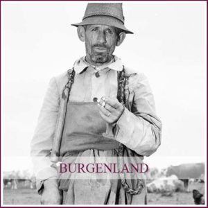 Astrid von Luttitz - Österreich - Burgenland