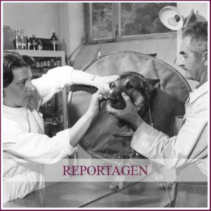Astrid von Luttitz - Reportagen